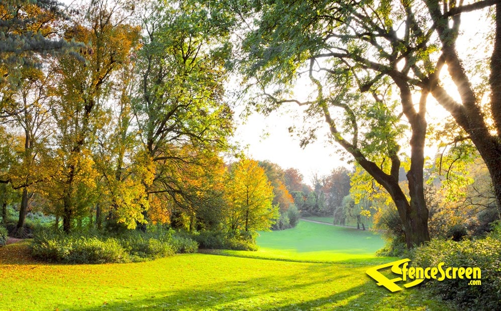 autumn park fall scene