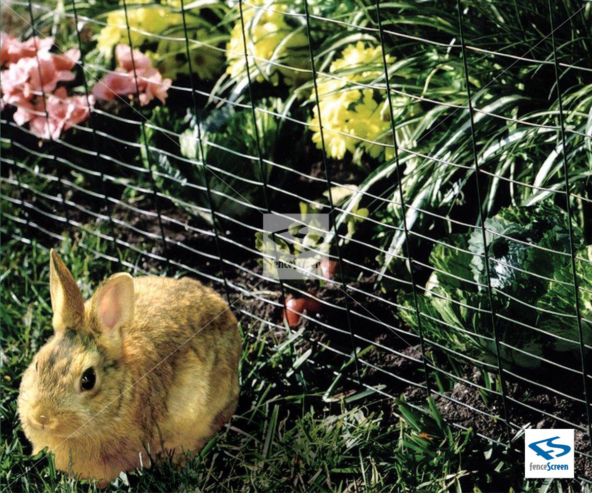 Will Rabbits Chew Through Plastic Fencing at Daniel Fernandez blog