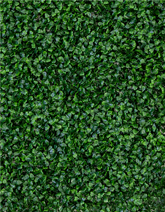Front View of Boxwood Mat