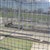 1700 Series - Batting Cage Netting - Black