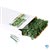 Expandable Faux Ivy Privacy Fence Packaging