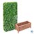 8' Tall Ligustrum Ficus Hedge Wall with 24