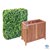 4' Tall Ligustrum Ficus Hedge Wall with 24