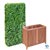 8' Tall Ligustrum Ficus Hedge Wall with 24