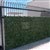 Ivy Privacy Screen