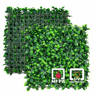 Ligustrum Ficus Mats