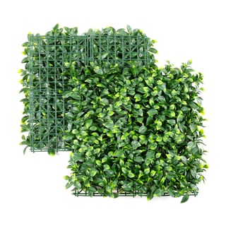 Ligustrum Ficus Mats