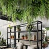 NatraHedge Artificial Dense Star Living Wall Panels