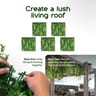 NatraHedge Artificial Breeze Living Wall Panels