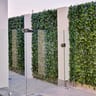 NatraHedge Faux Ivy Mats