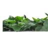 NatraHedge Faux Ivy Mats