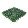 1200 Series Ligustrum Ficus Mats