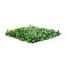 1200 Series Ligustrum Ficus Mats