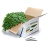 1200 Series Ligustrum Ficus Mats