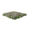 1200 Series Artificial Lavender Mats