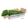 NatraHedge Artificial Kauai Living Wall Panels