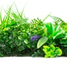 NatraHedge Artificial Kauai Living Wall Panels