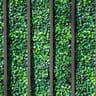 NatraHedge Light Green Artificial Boxwood Roll