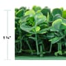 NatraHedge Light Green Artificial Boxwood Roll