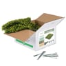 NatraHedge Artificial Myrtle Greenery Mats