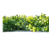 NatraHedge Artificial Myrtle Greenery Mats