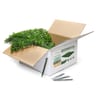 NatraHedge Artificial Myrtle Flower Mats