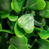 NatraHedge Artificial Boxwood Freestanding Hedge, 3 ½ ft (40"W x 13"D x 41"H), Aluminum Frame