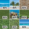 211 Series Scenic Screens, Beach Scene