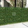 210 Series Double Sided Scenic Screens, Ligustrum Ficus Leaf