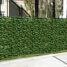 210 Series Double Sided Scenic Screens, Ligustrum Ficus Leaf