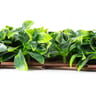 1100 Series Artificial Ficus Expandable Privacy Fence