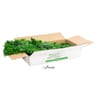 NatraHedge Faux Rainforest Living Wall Panels