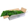 NatraHedge Artificial Maui Living Wall Panels