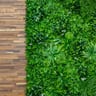 NatraHedge Artificial Maui Living Wall Panels