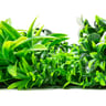NatraHedge Artificial Maui Living Wall Panels