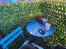 Customer photo of Artificial Ficus Expandable Privacy Fence