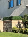 Customer photo of Artificial Ficus Expandable Privacy Fence