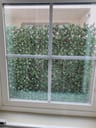 Customer photo of Faux English Laurel Privacy Fence