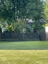 Customer photo of Chain Link Fence Privacy Tape