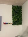 Customer photo of Artificial Maui Living Wall Panels