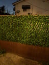 Customer photo of Artificial Ficus Expandable Privacy Fence