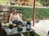 Customer photo of Artificial Ficus Expandable Privacy Fence