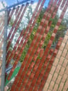 Customer photo of Chain Link Fence Privacy Tape