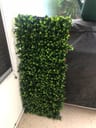 Customer photo of Artificial Ficus Expandable Privacy Fence