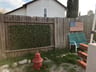 Customer photo of Artificial Ficus Expandable Privacy Fence