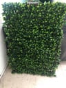 Customer photo of Artificial Ficus Expandable Privacy Fence
