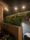 Customer photo of Artificial Maui Living Wall Panels