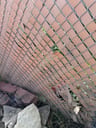 Customer photo of Chain Link Fence Privacy Tape
