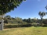 Customer photo of Faux English Laurel Privacy Fence