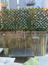 Customer photo of Artificial Ficus Expandable Privacy Fence